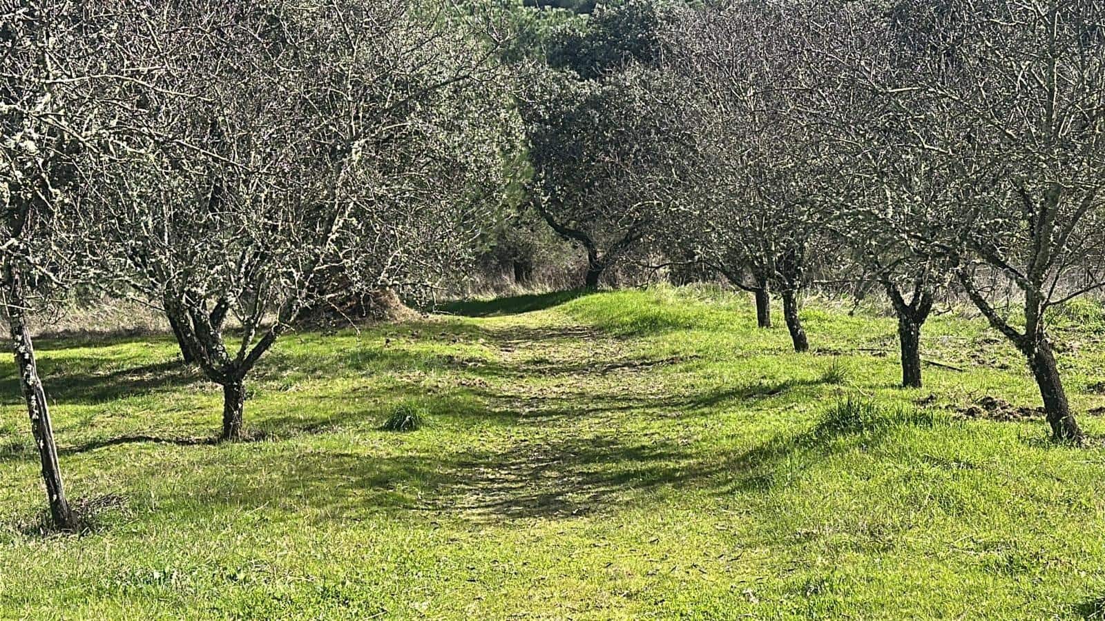 5 soveværelse Finca/Landehus til salg i Villaviciosa de Cordoba med garage - € 300.000 (Ref: 9827165)