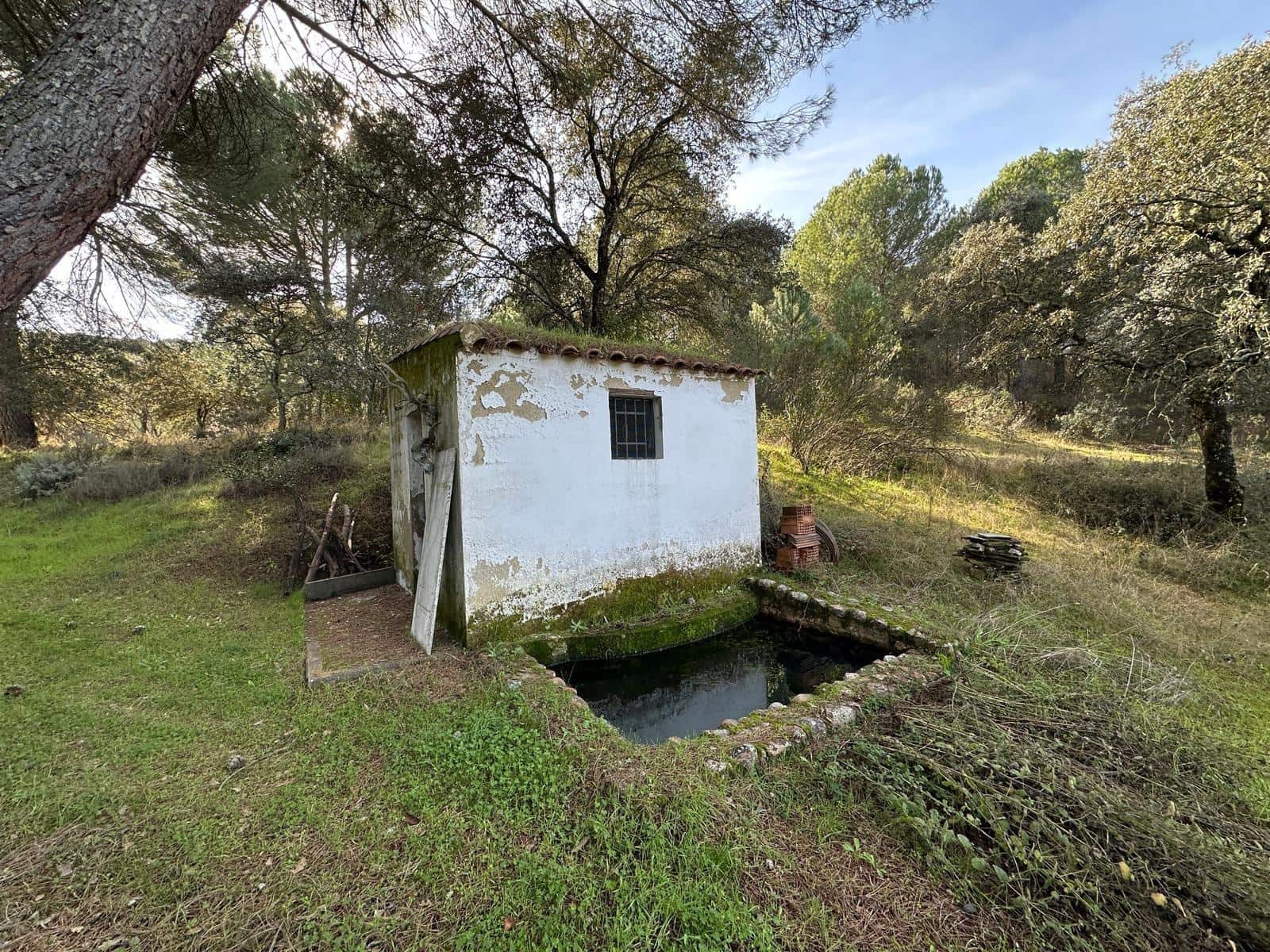 5 soveværelse Finca/Landehus til salg i Villaviciosa de Cordoba med garage - € 300.000 (Ref: 9827165)
