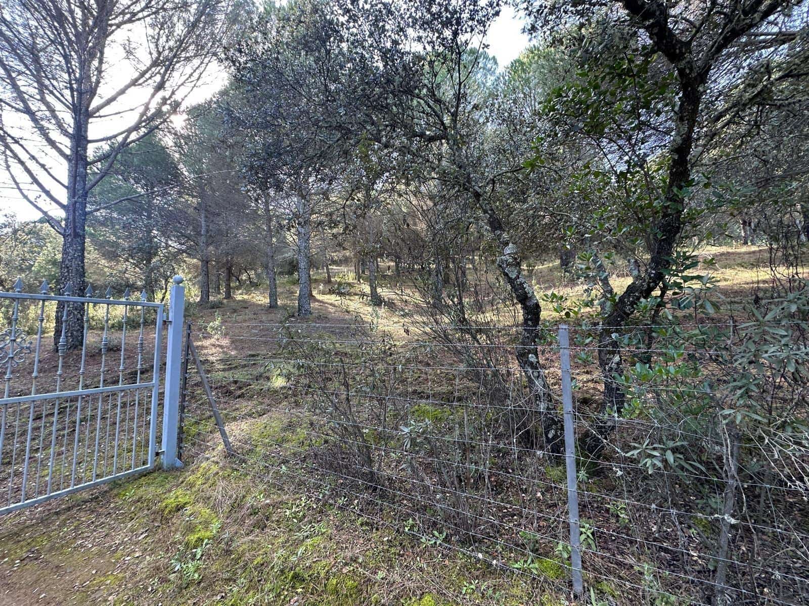 5 soveværelse Finca/Landehus til salg i Villaviciosa de Cordoba med garage - € 300.000 (Ref: 9827165)