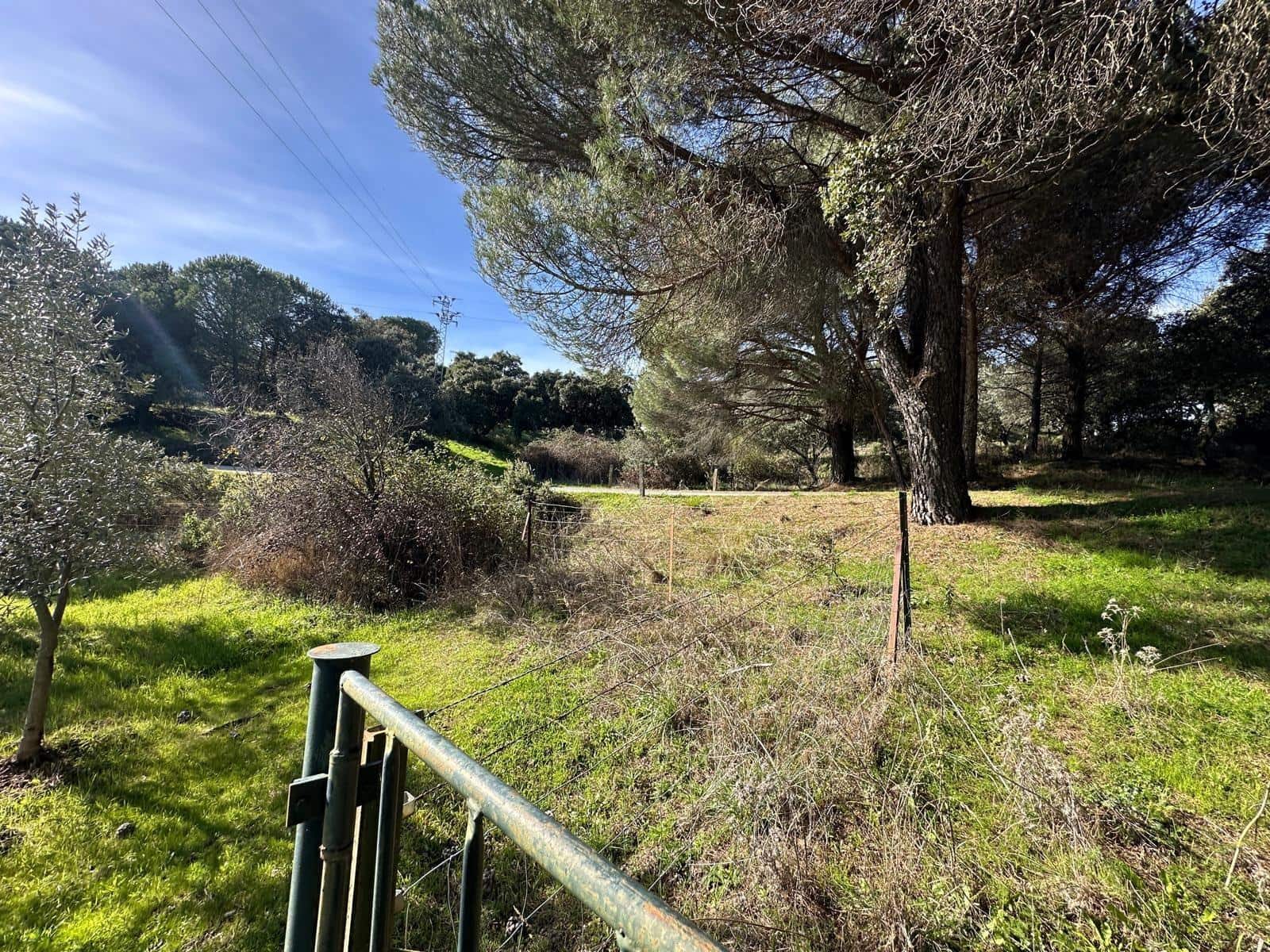 5 soveværelse Finca/Landehus til salg i Villaviciosa de Cordoba med garage - € 300.000 (Ref: 9827165)
