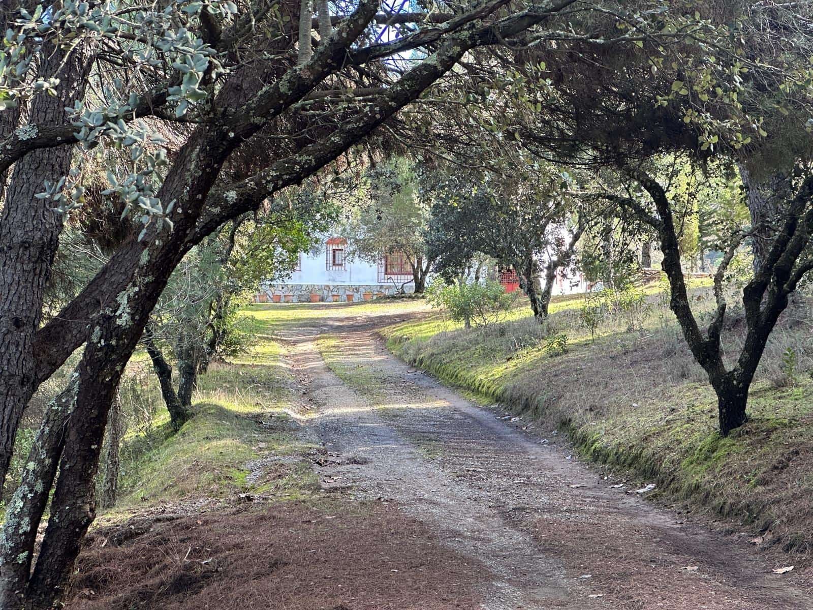 5 soveværelse Finca/Landehus til salg i Villaviciosa de Cordoba med garage - € 300.000 (Ref: 9827165)