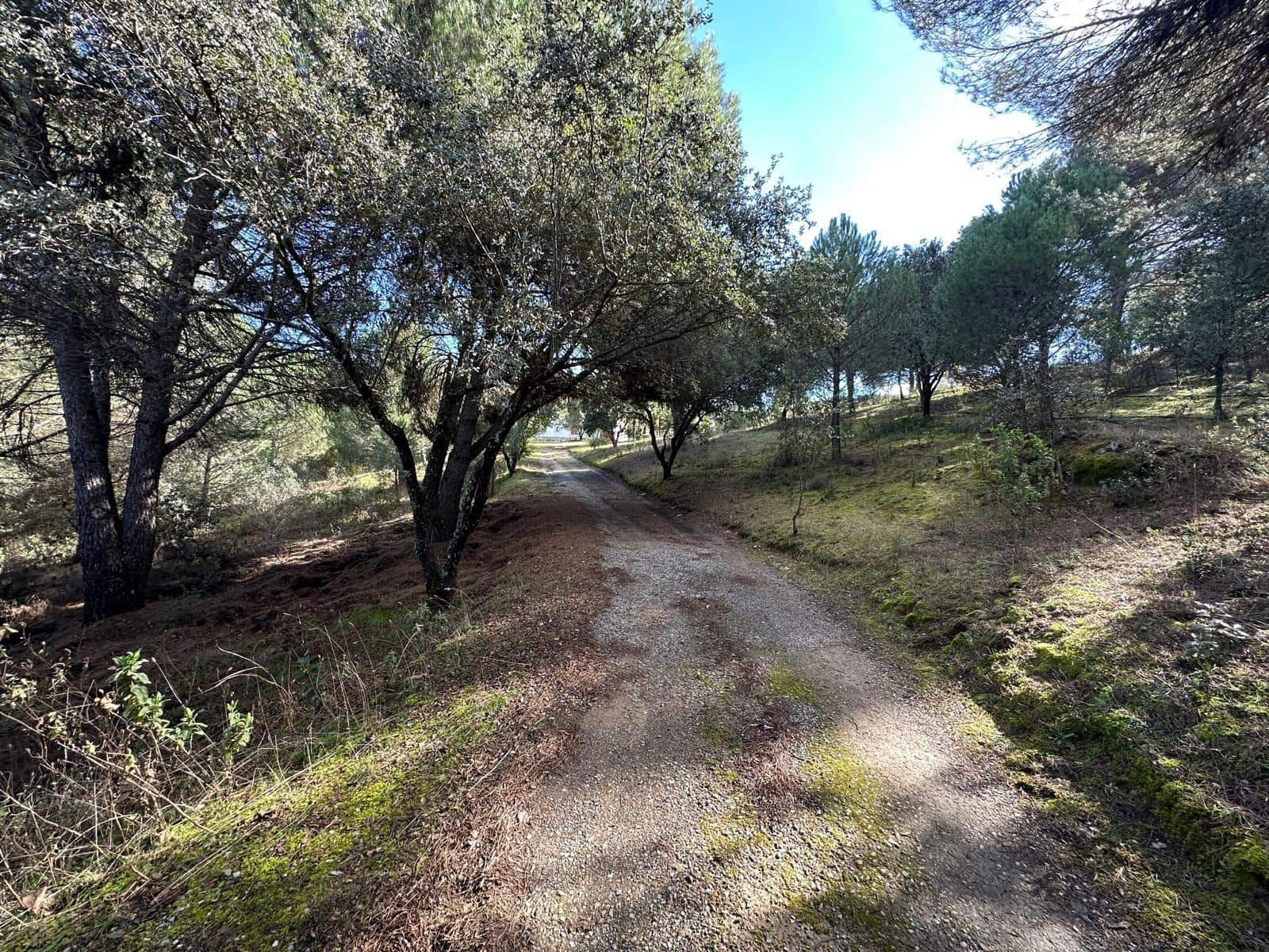 5 soveværelse Finca/Landehus til salg i Villaviciosa de Cordoba med garage - € 300.000 (Ref: 9827165)