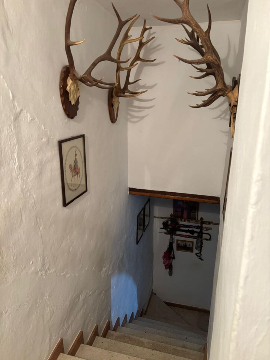 3 chambre Maison de Ville à vendre à Hornachuelos - 152 000 € (Ref: 9829267)