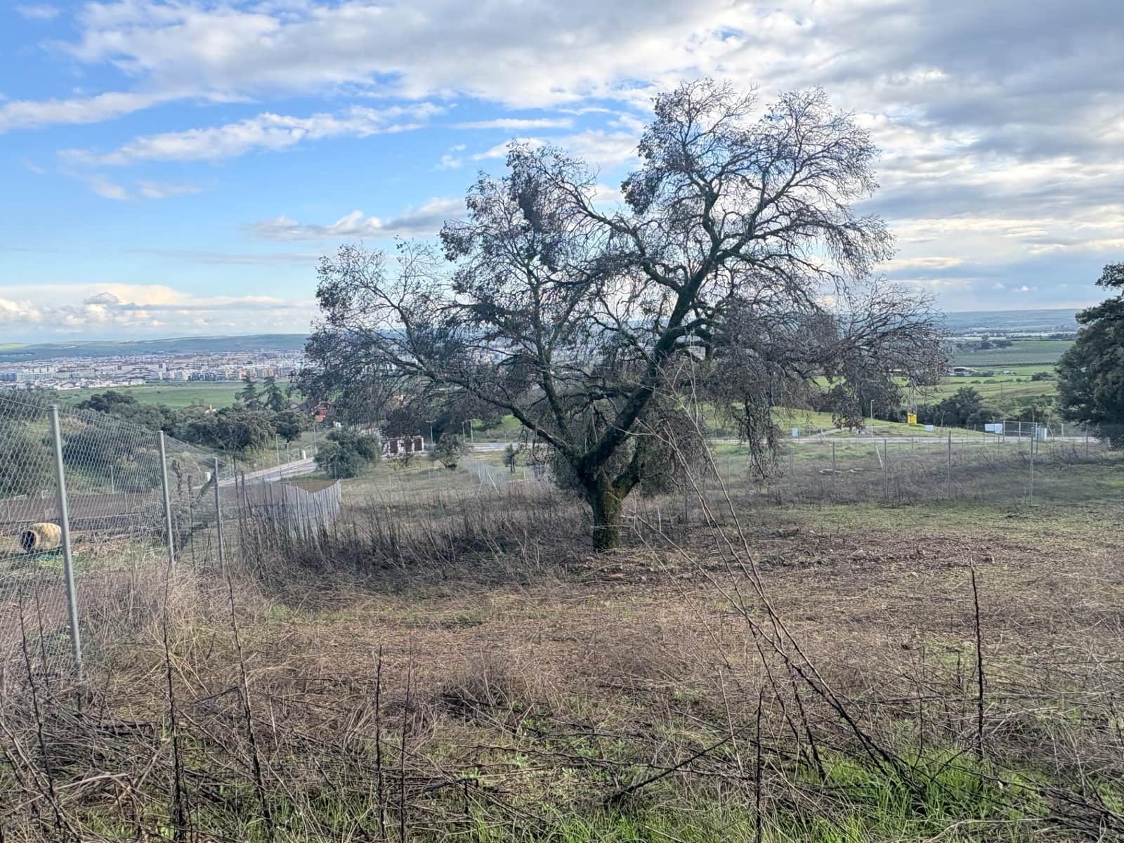 Building Plot for sale in Cordoba city - € 170,000 (Ref: 9833741)
