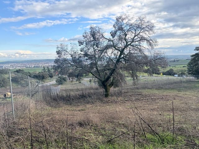 Building Plot for sale in Córdoba city - € 170,000 (Ref: 9833741)