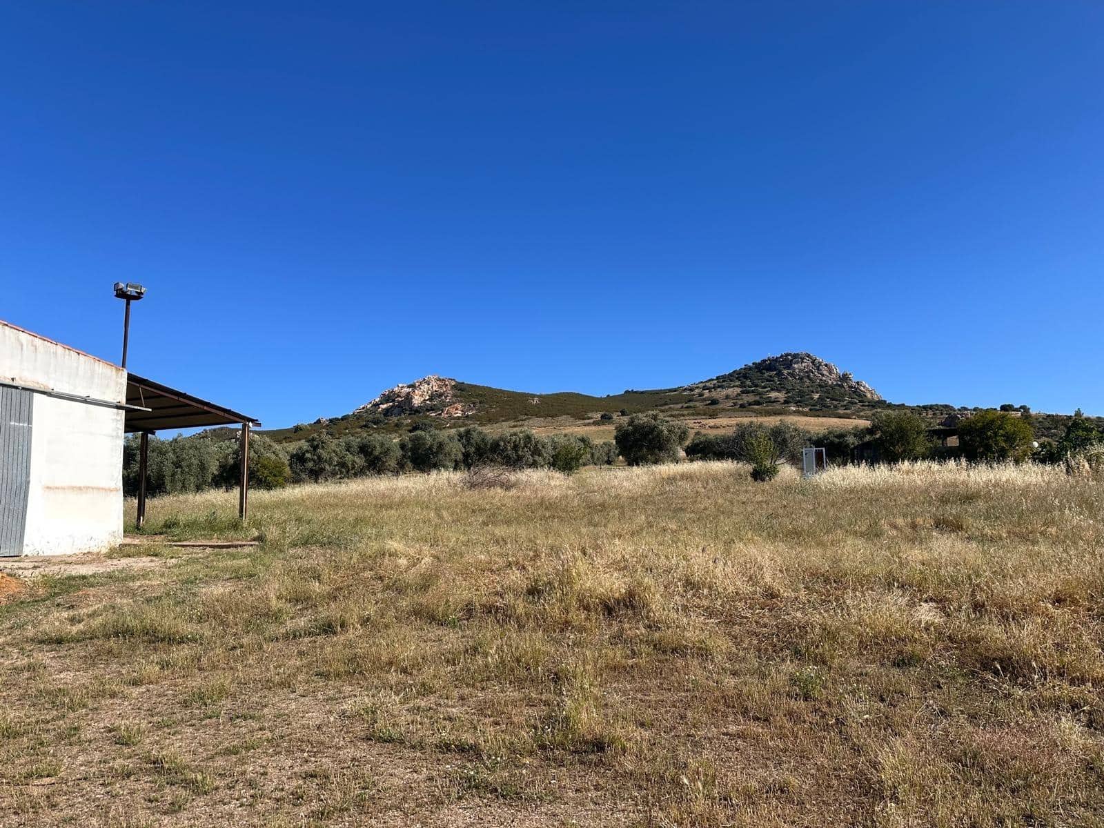Finca/Casa Rural de 7 habitaciones en Peñarroya-Pueblonuevo en venta - 245.000 € (Ref: 9849468)