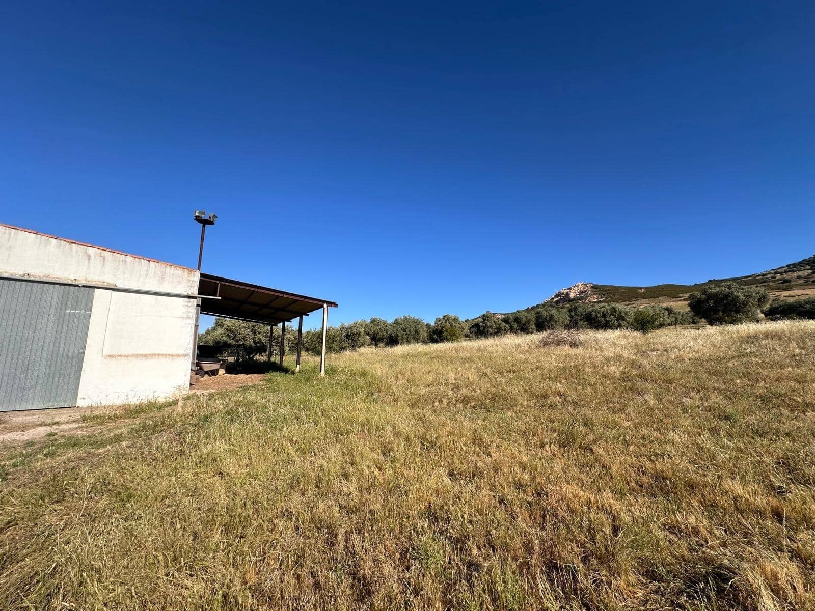 Finca/Casa Rural de 7 habitaciones en Peñarroya-Pueblonuevo en venta - 245.000 € (Ref: 9849468)