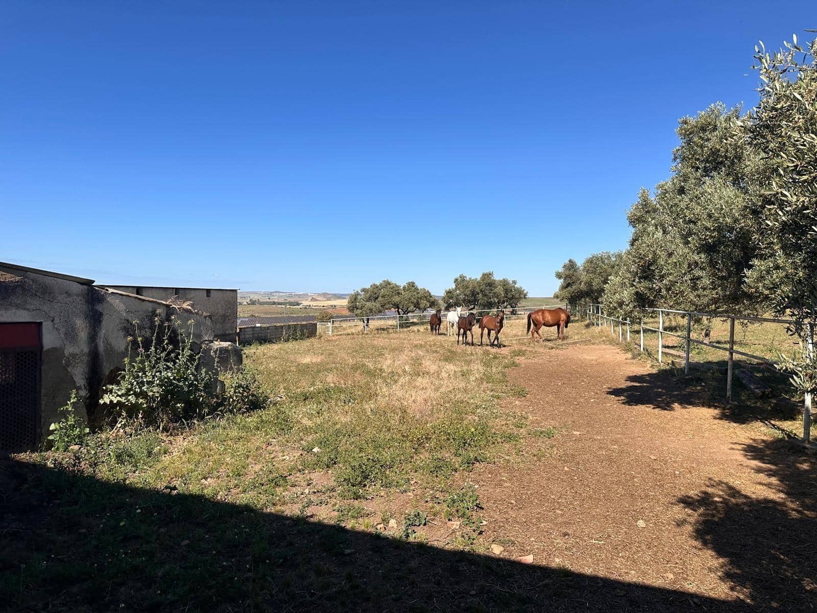 Finca/Casa Rural de 7 habitaciones en Peñarroya-Pueblonuevo en venta - 245.000 € (Ref: 9849468)
