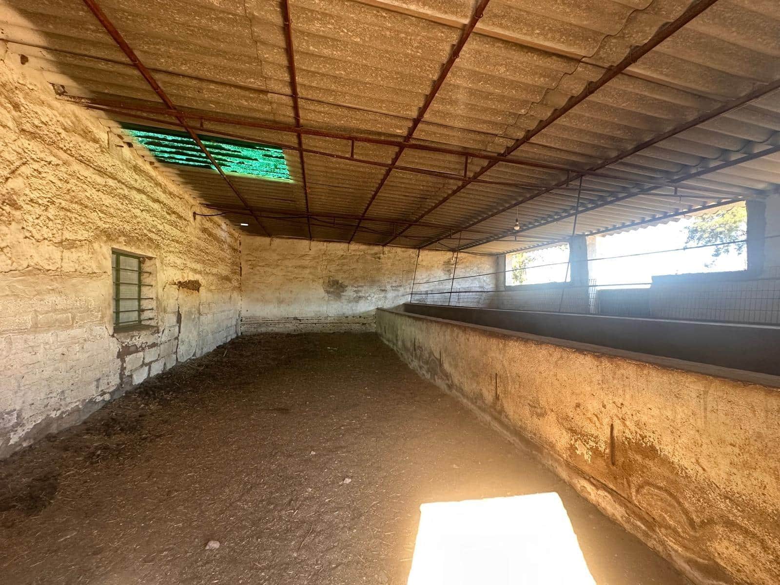 Finca/Casa Rural de 7 habitaciones en Peñarroya-Pueblonuevo en venta - 245.000 € (Ref: 9849468)