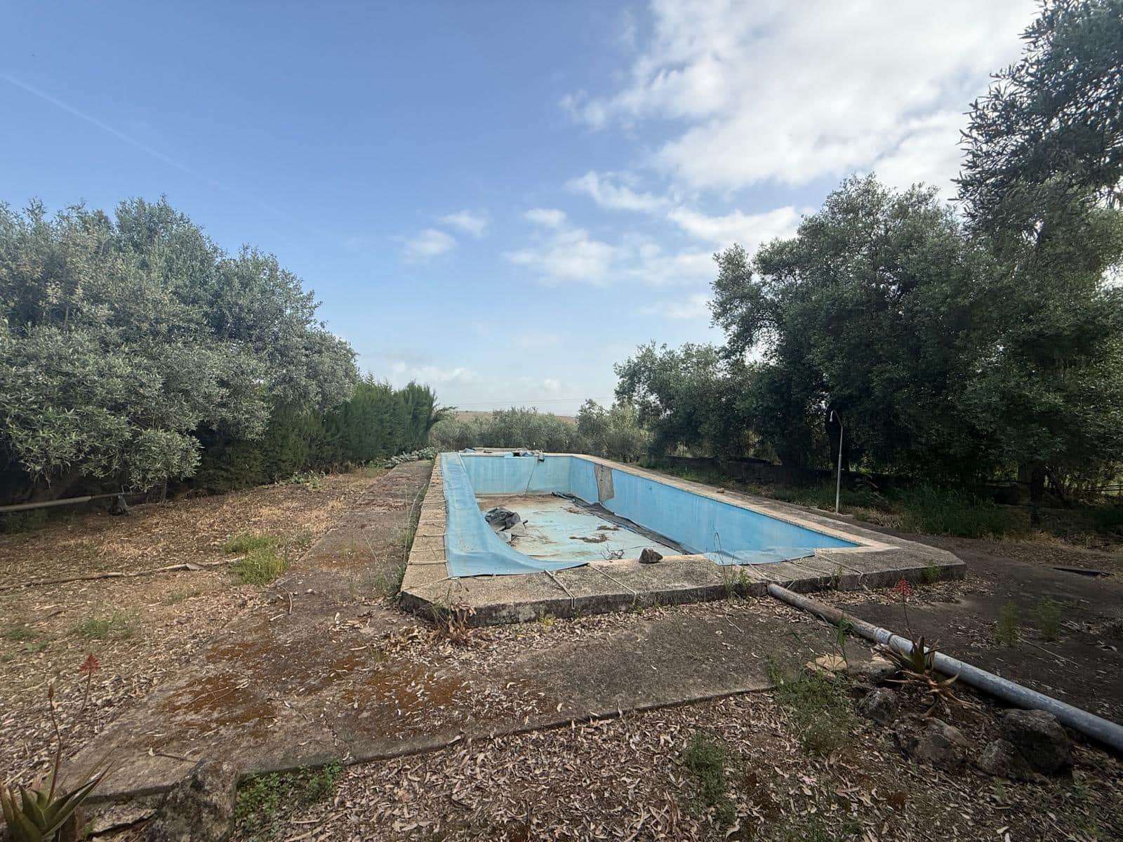 Terreno/Finca Rústica en Guadalcázar en venta - 171.000 € (Ref: 9849470)
