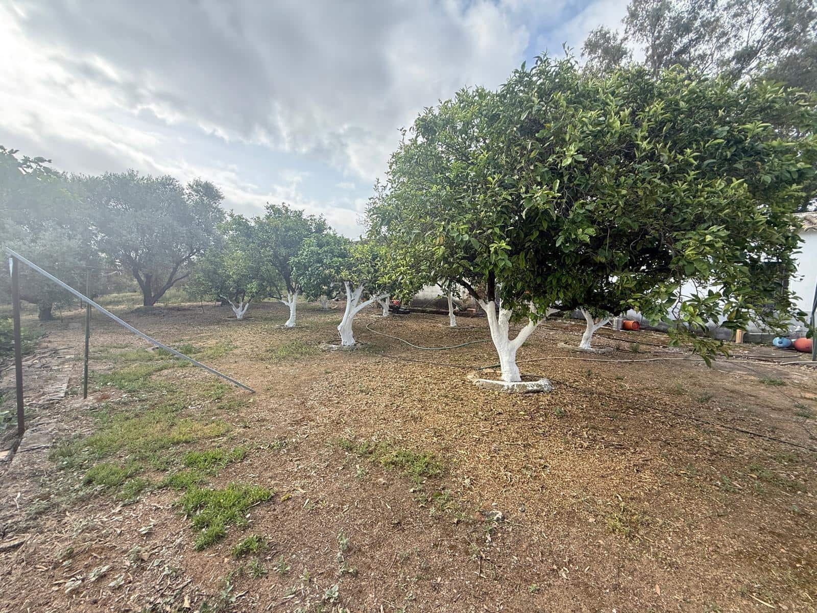 Terreno/Finca Rústica en Guadalcázar en venta - 171.000 € (Ref: 9849470)