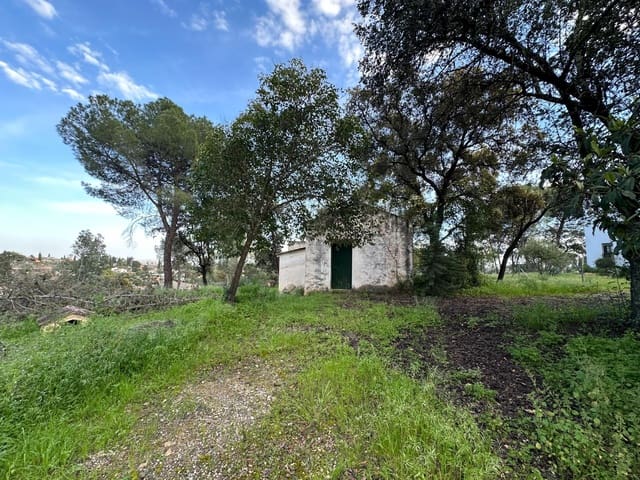 Solar/Parcela en Córdoba ciudad en venta - 260.000 € (Ref: 9849471)
