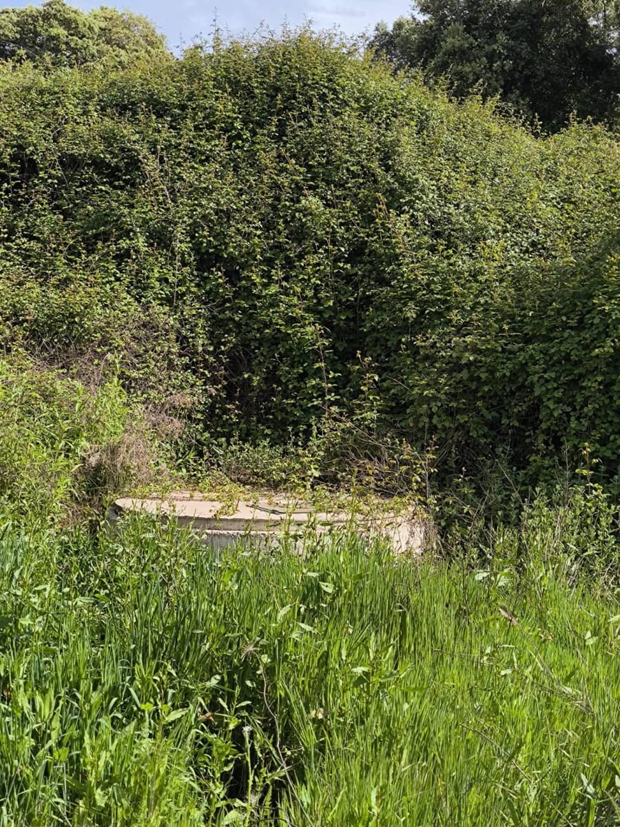 Undeveloped Land for sale in Fuente Obejuna - € 170,000 (Ref: 9860195)