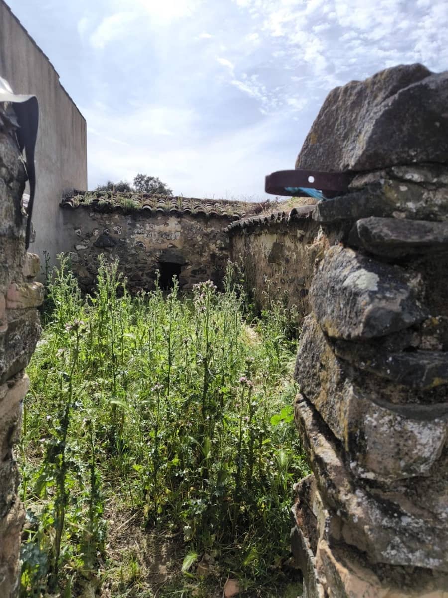 Undeveloped Land for sale in Fuente Obejuna - € 170,000 (Ref: 9860195)
