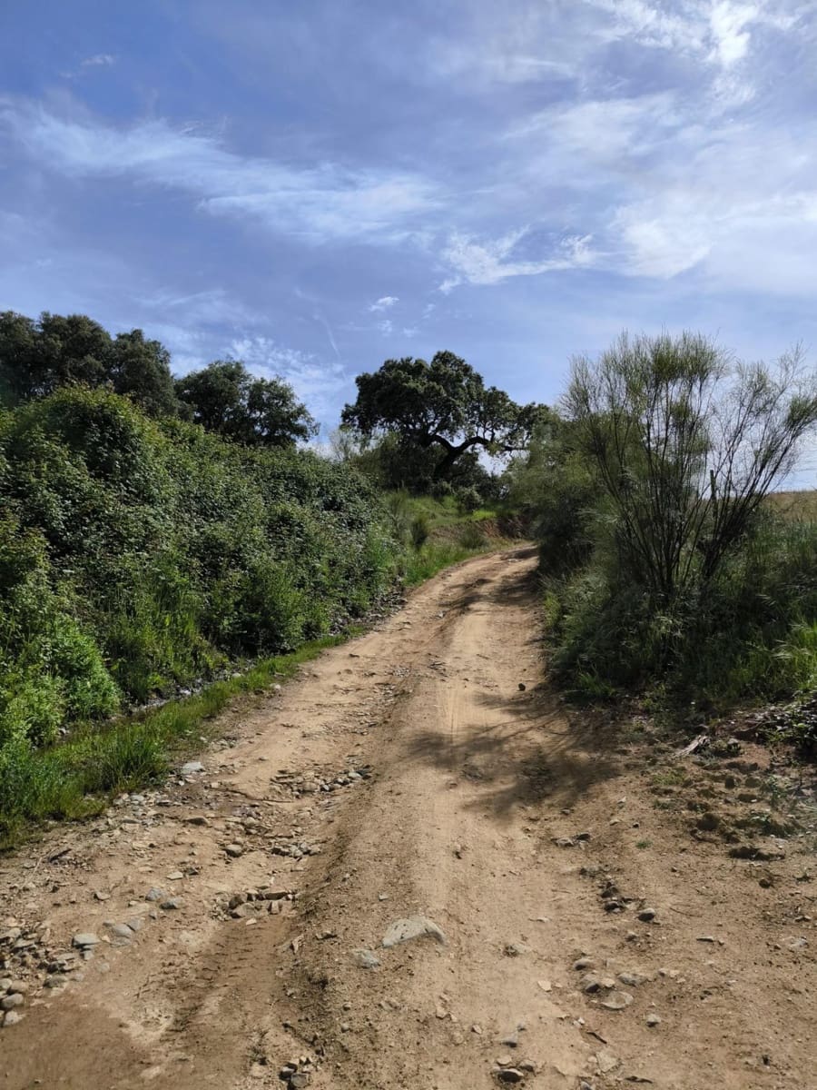Undeveloped Land for sale in Fuente Obejuna - € 170,000 (Ref: 9860195)