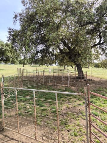 Landgrundstück zu verkaufen in Fuente Obejuna - 170.000 € (Ref: 9860195)