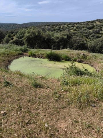 Landgrundstück zu verkaufen in Fuente Obejuna - 170.000 € (Ref: 9860195)