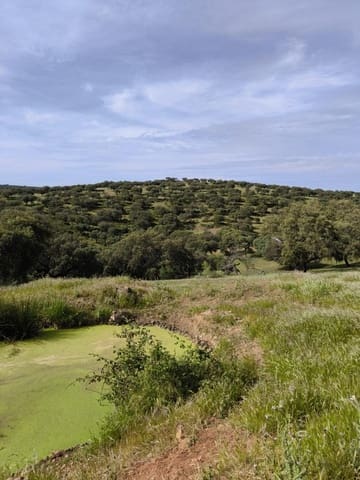 Landgrundstück zu verkaufen in Fuente Obejuna - 170.000 € (Ref: 9860195)