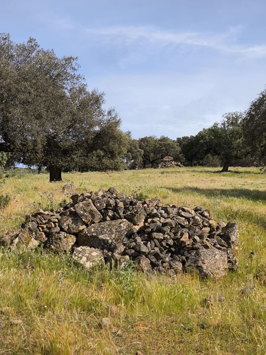 Undeveloped Land for sale in Fuente Obejuna - € 170,000 (Ref: 9860195)
