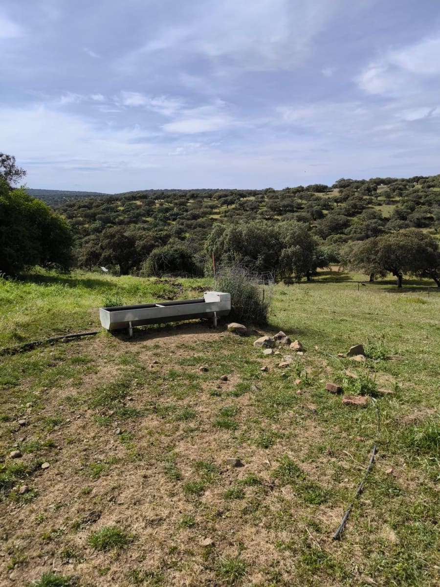 Undeveloped Land for sale in Fuente Obejuna - € 170,000 (Ref: 9860195)