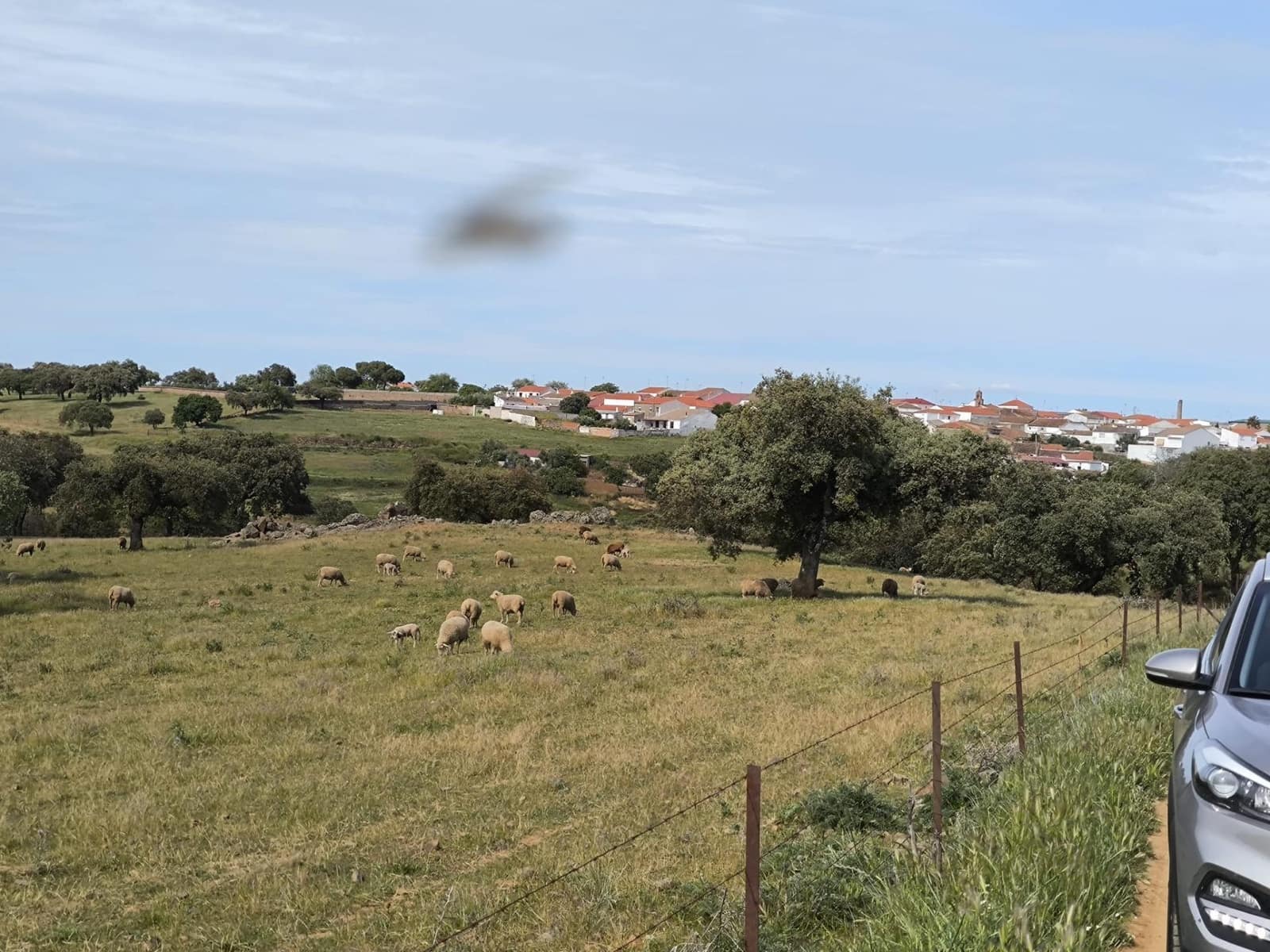 Undeveloped Land for sale in Fuente Obejuna - € 170,000 (Ref: 9860195)