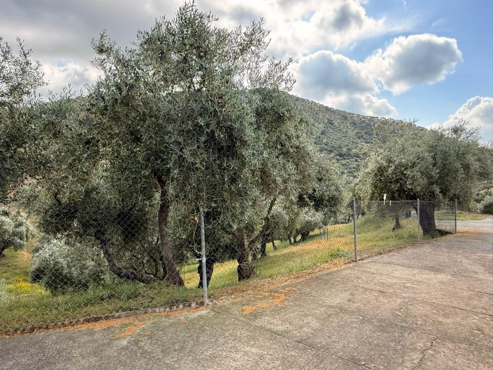 8 camera da letto Finca/Casa di Campagna in vendita in Obejo con garage - 375.000 € (Rif: 9884911)