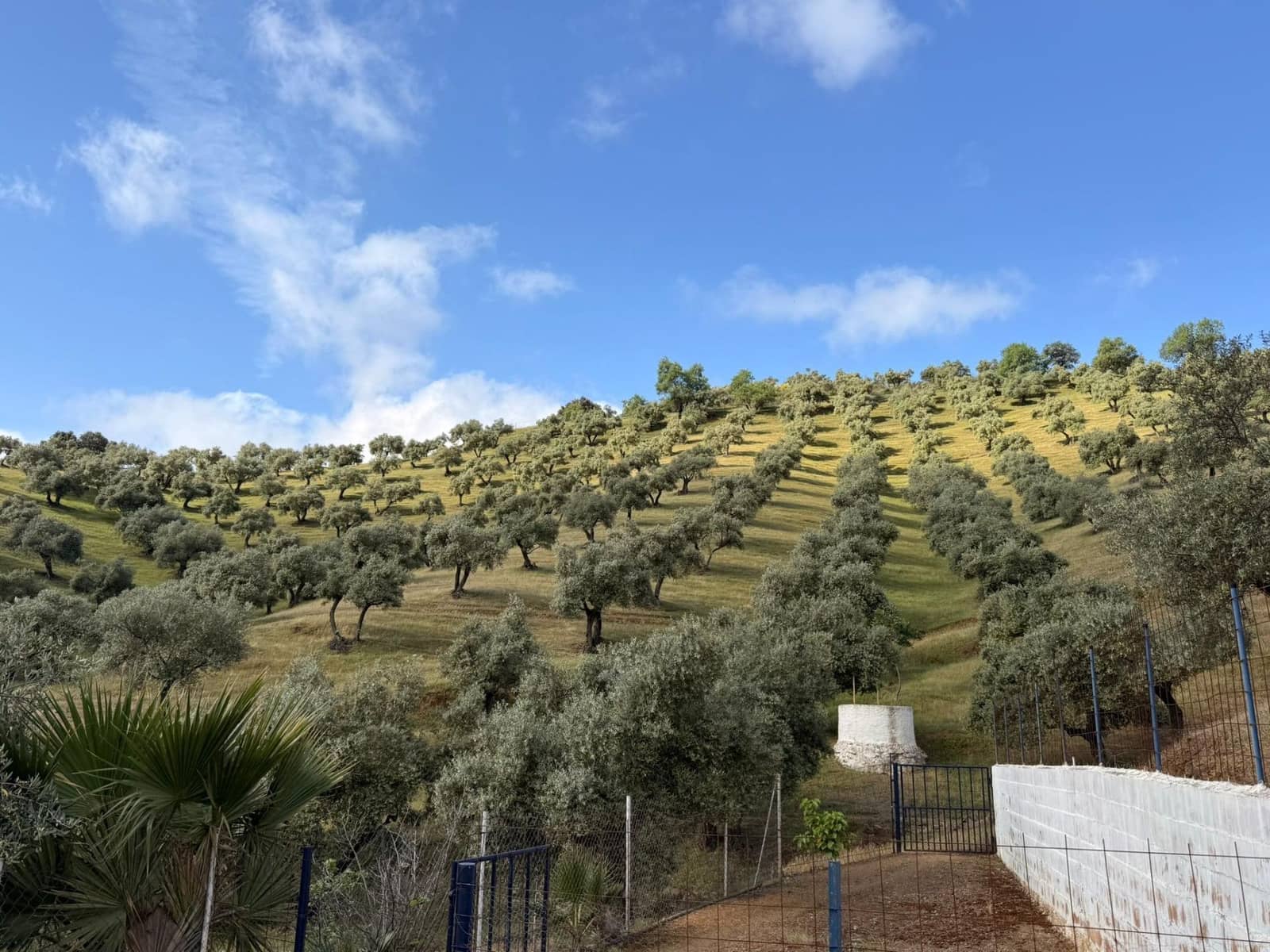 8 camera da letto Finca/Casa di Campagna in vendita in Obejo con garage - 375.000 € (Rif: 9884911)