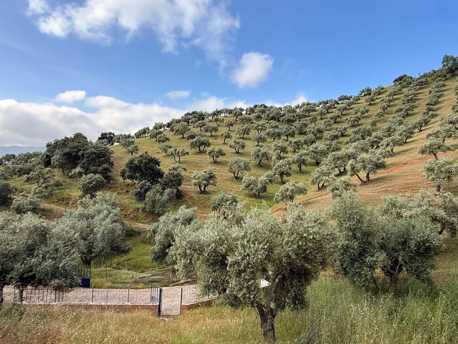 8 camera da letto Finca/Casa di Campagna in vendita in Obejo con garage - 375.000 € (Rif: 9884911)