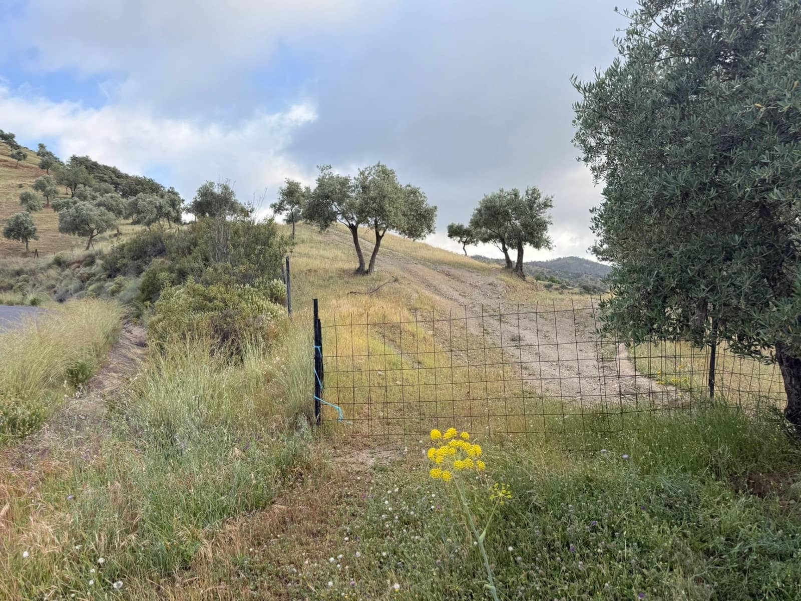 8 camera da letto Finca/Casa di Campagna in vendita in Obejo con garage - 375.000 € (Rif: 9884911)