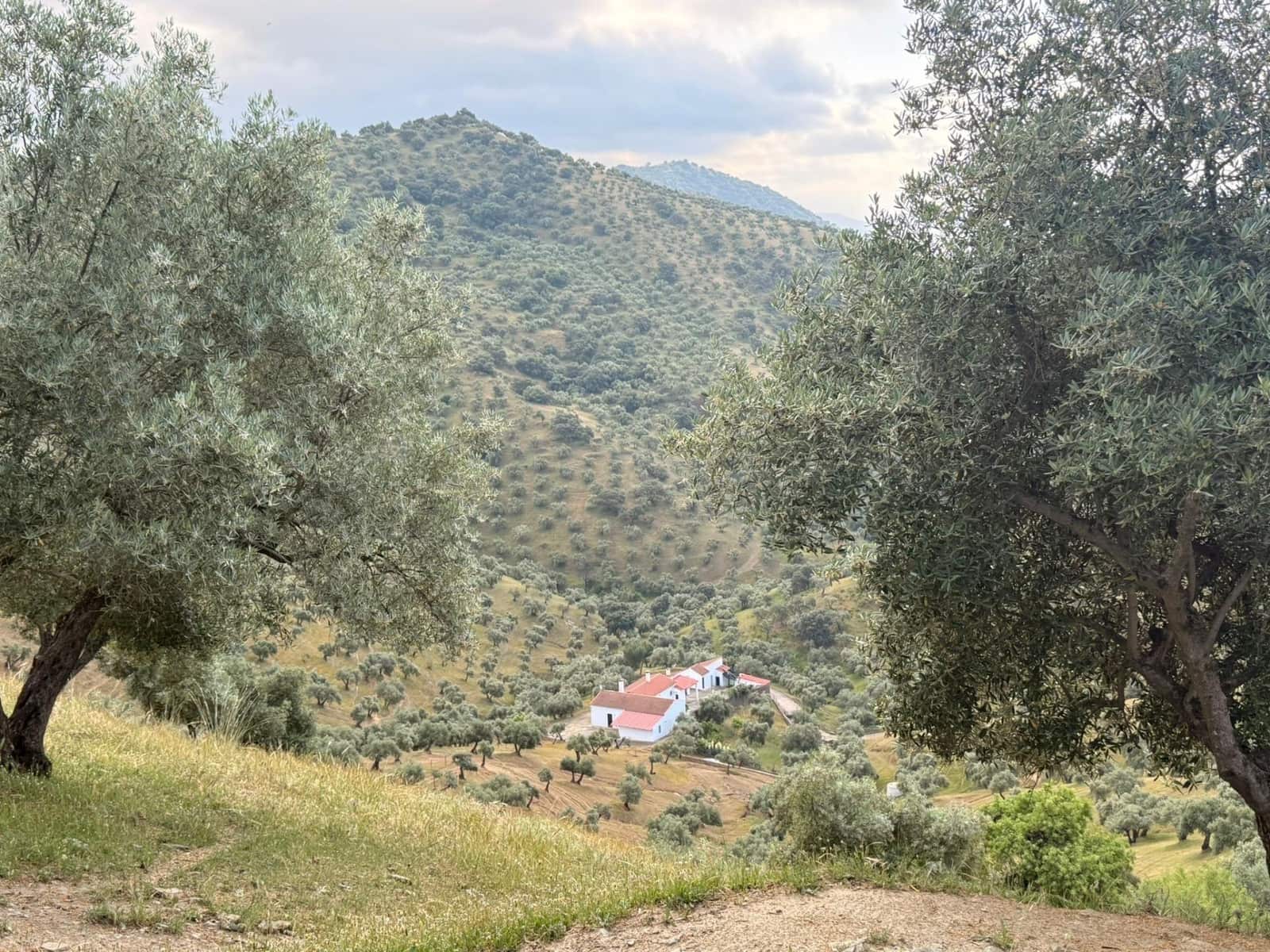 8 camera da letto Finca/Casa di Campagna in vendita in Obejo con garage - 375.000 € (Rif: 9884911)