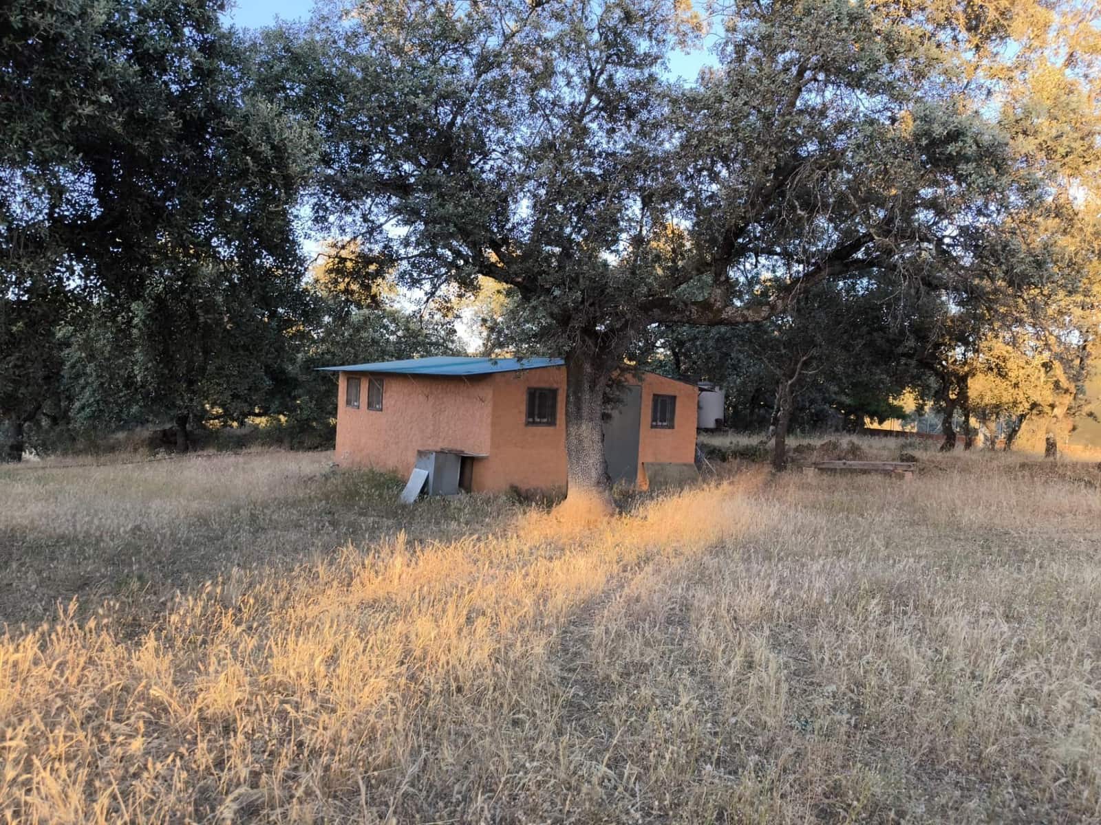 Undeveloped Land for sale in Fuente Obejuna - € 360,000 (Ref: 9898874)