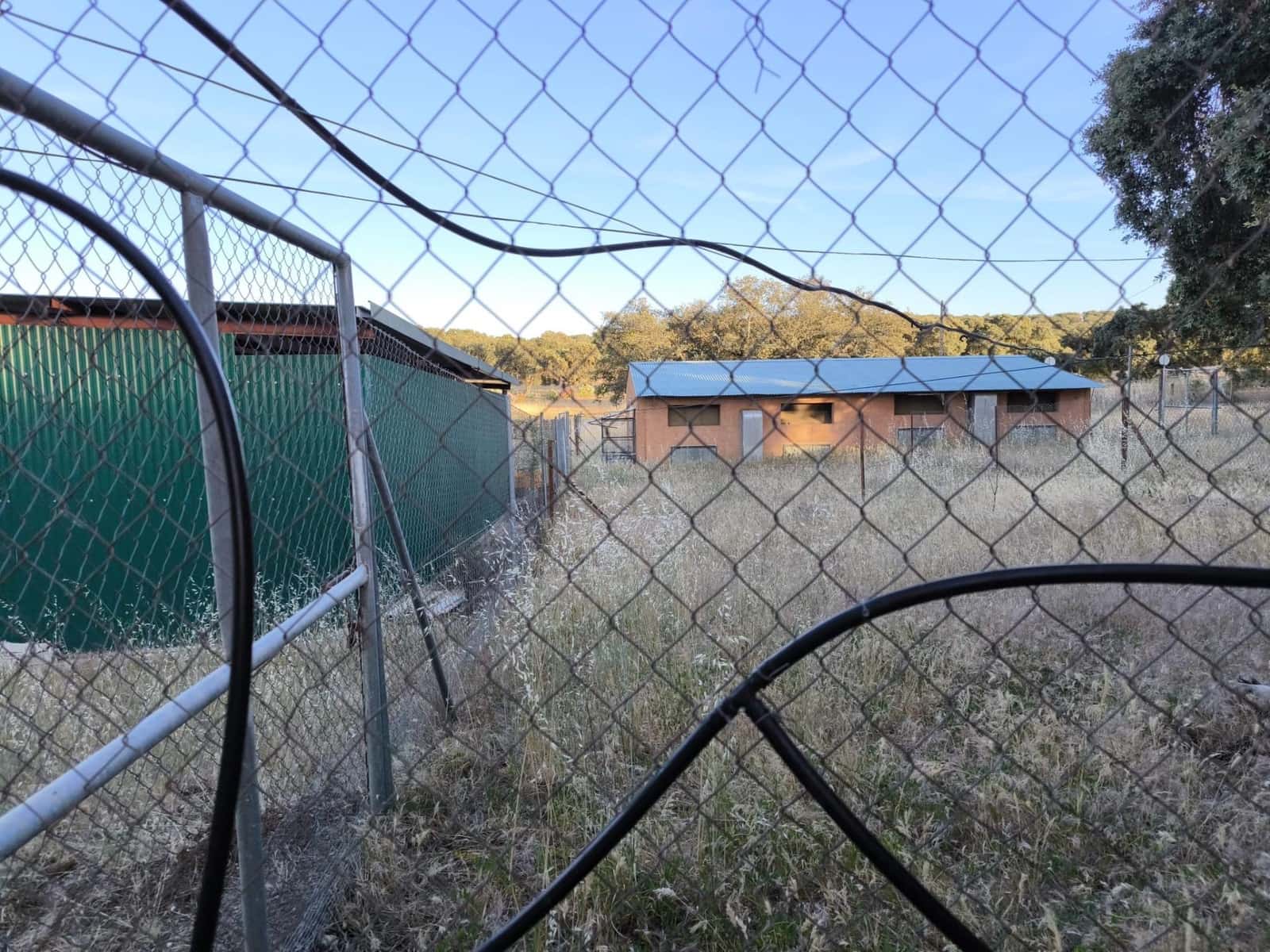 Undeveloped Land for sale in Fuente Obejuna - € 360,000 (Ref: 9898874)