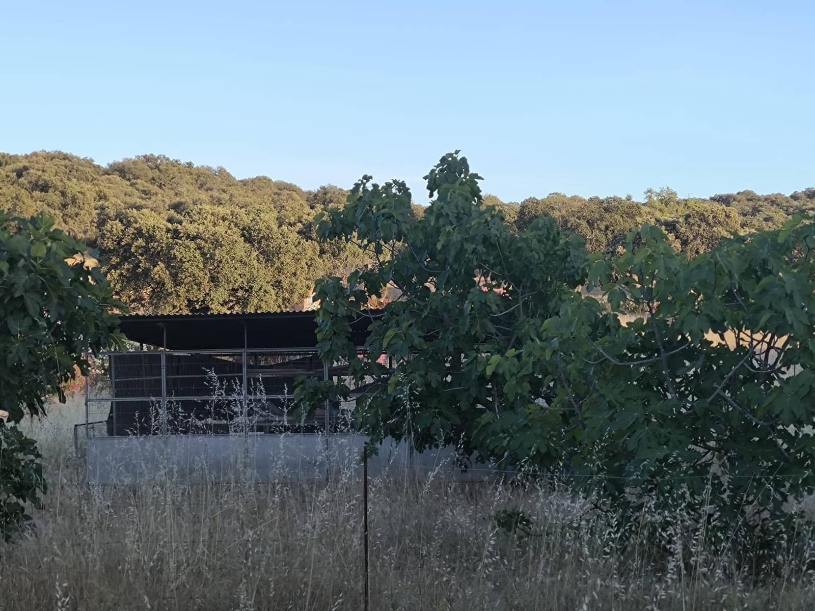 Undeveloped Land for sale in Fuente Obejuna - € 360,000 (Ref: 9898874)