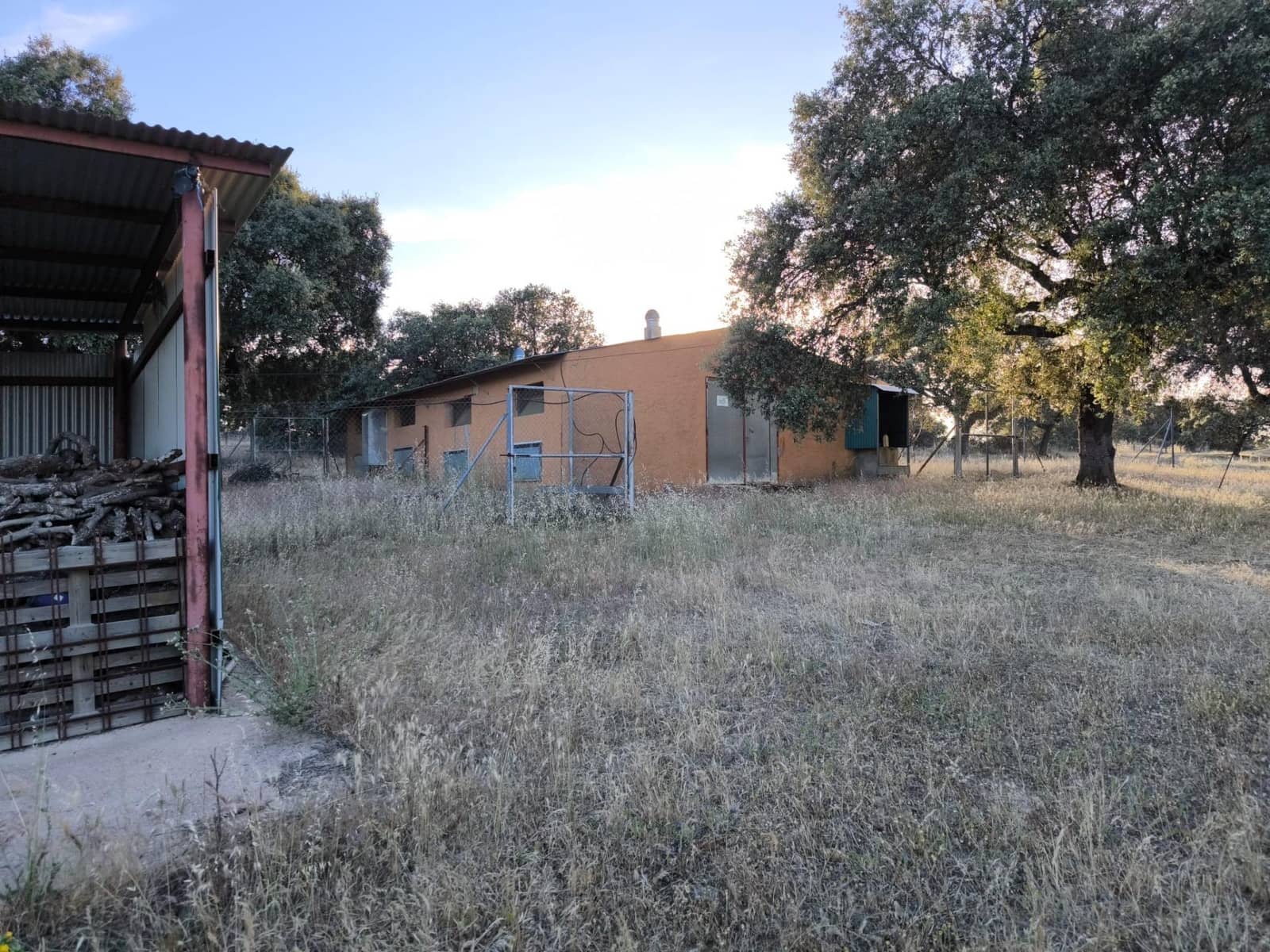 Undeveloped Land for sale in Fuente Obejuna - € 360,000 (Ref: 9898874)