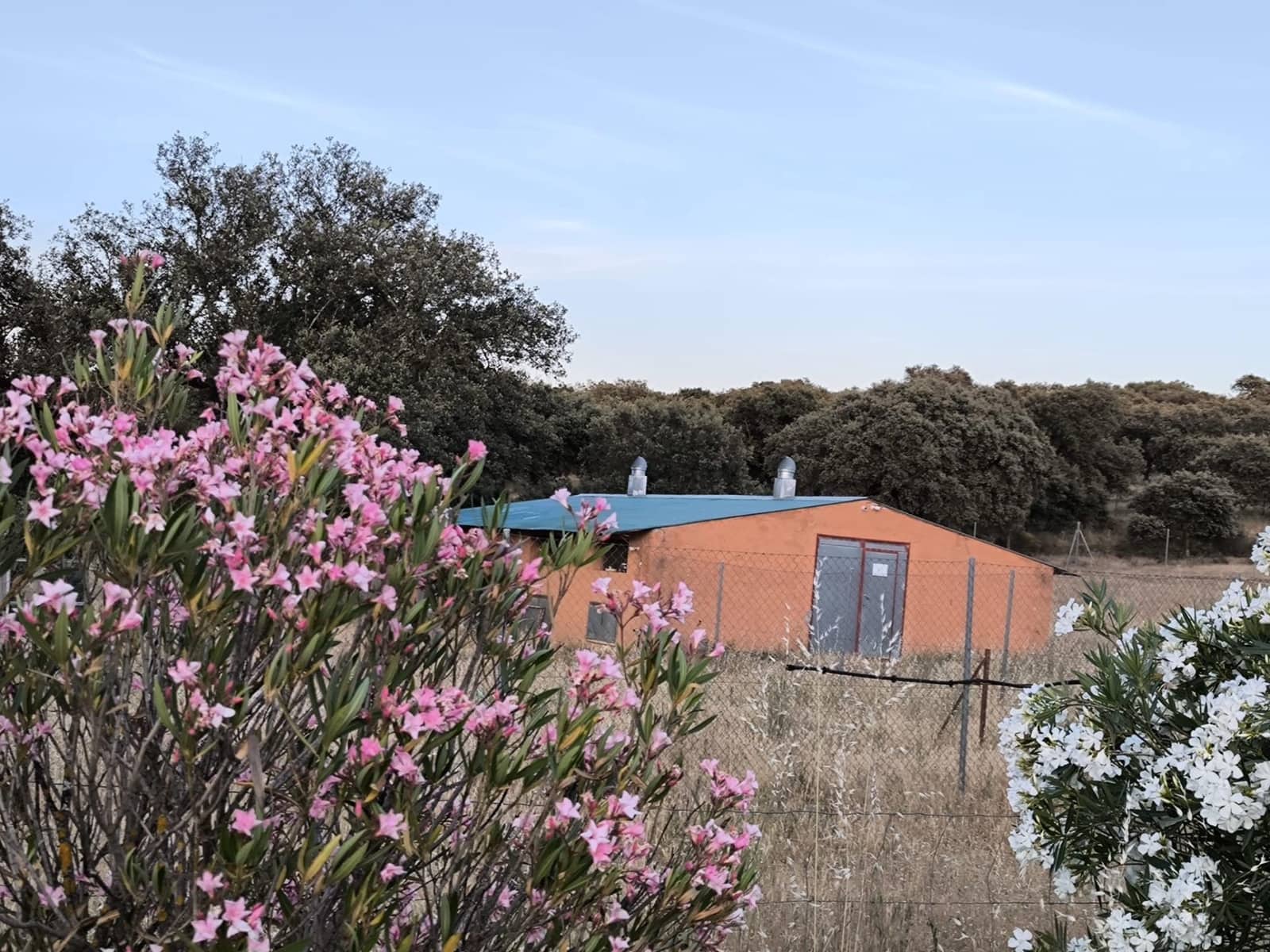 Undeveloped Land for sale in Fuente Obejuna - € 360,000 (Ref: 9898874)