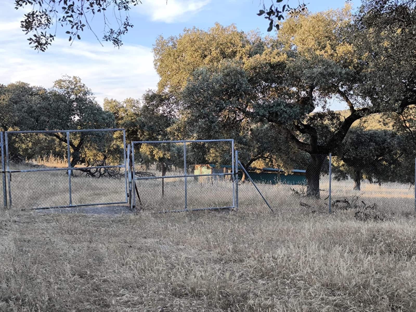 Undeveloped Land for sale in Fuente Obejuna - € 360,000 (Ref: 9898874)