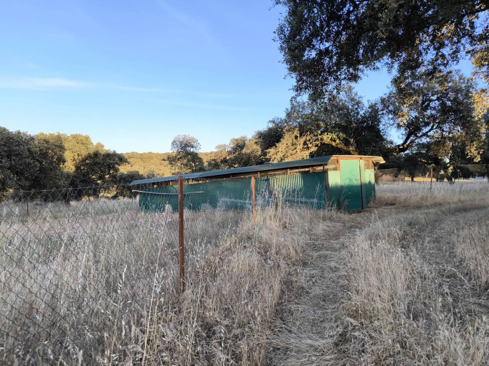 Undeveloped Land for sale in Fuente Obejuna - € 360,000 (Ref: 9898874)