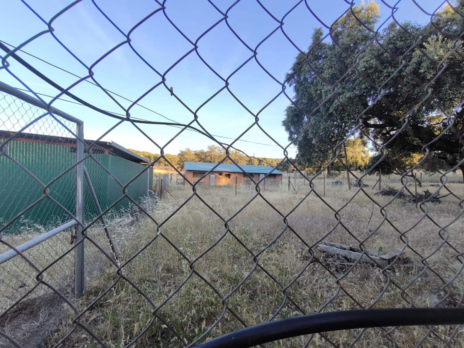 Undeveloped Land for sale in Fuente Obejuna - € 360,000 (Ref: 9898874)