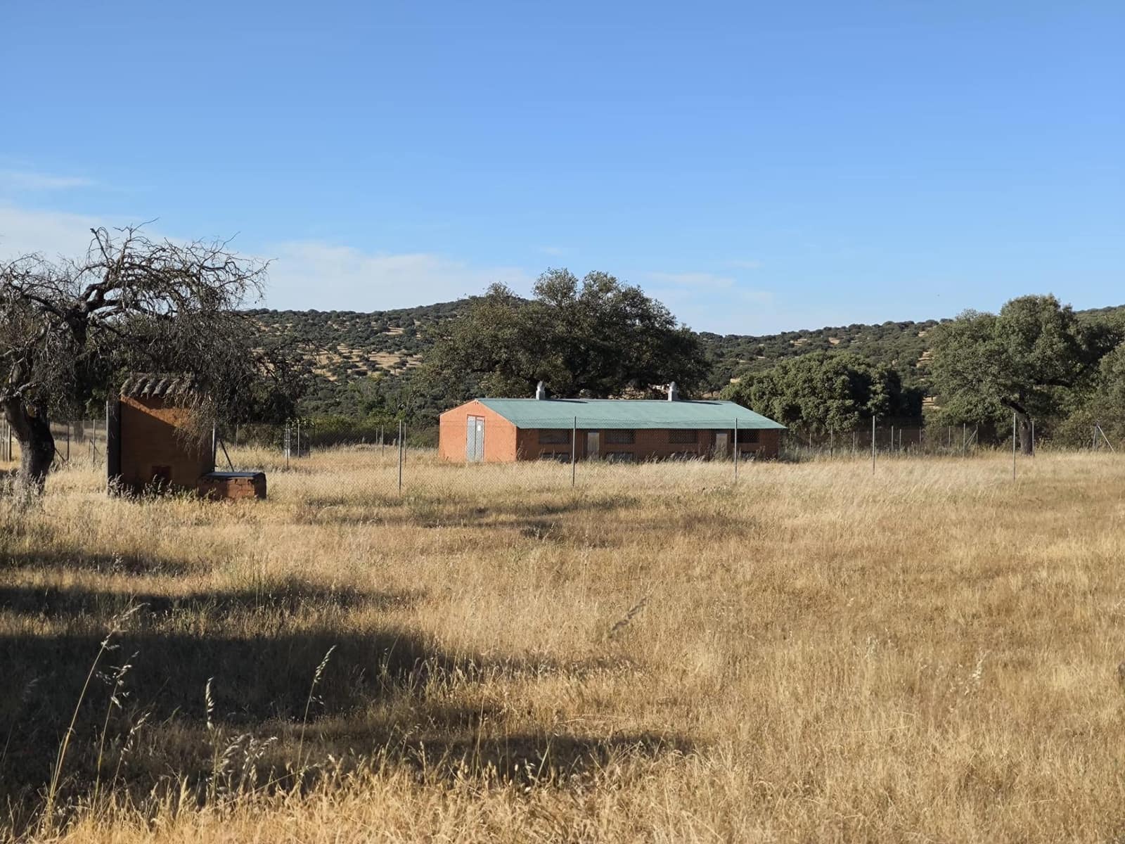 Undeveloped Land for sale in Fuente Obejuna - € 360,000 (Ref: 9898874)