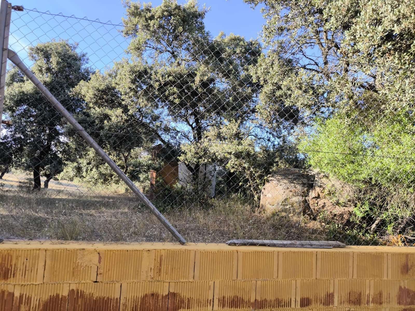 Undeveloped Land for sale in Fuente Obejuna - € 360,000 (Ref: 9898874)
