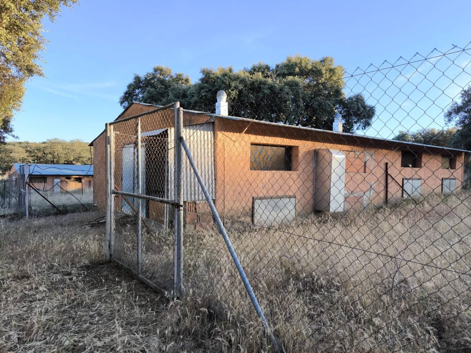 Undeveloped Land for sale in Fuente Obejuna - € 360,000 (Ref: 9898874)