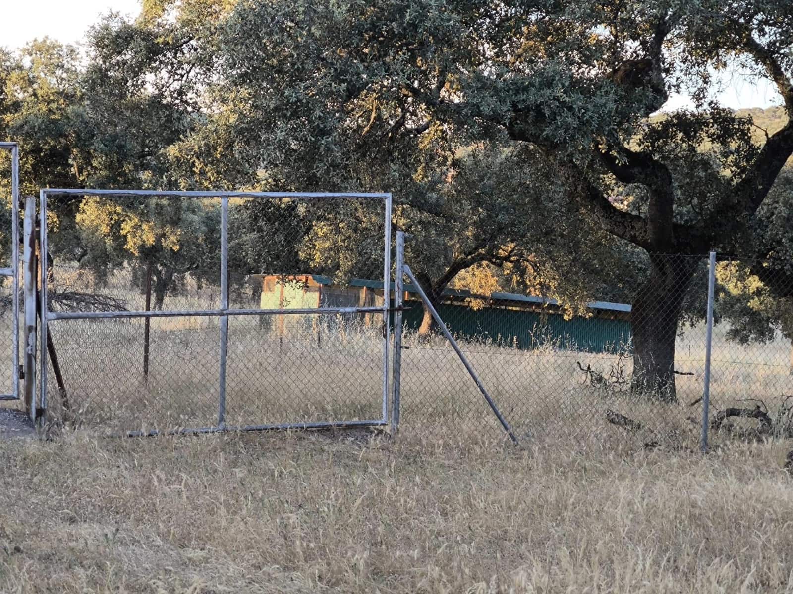 Undeveloped Land for sale in Fuente Obejuna - € 360,000 (Ref: 9898874)