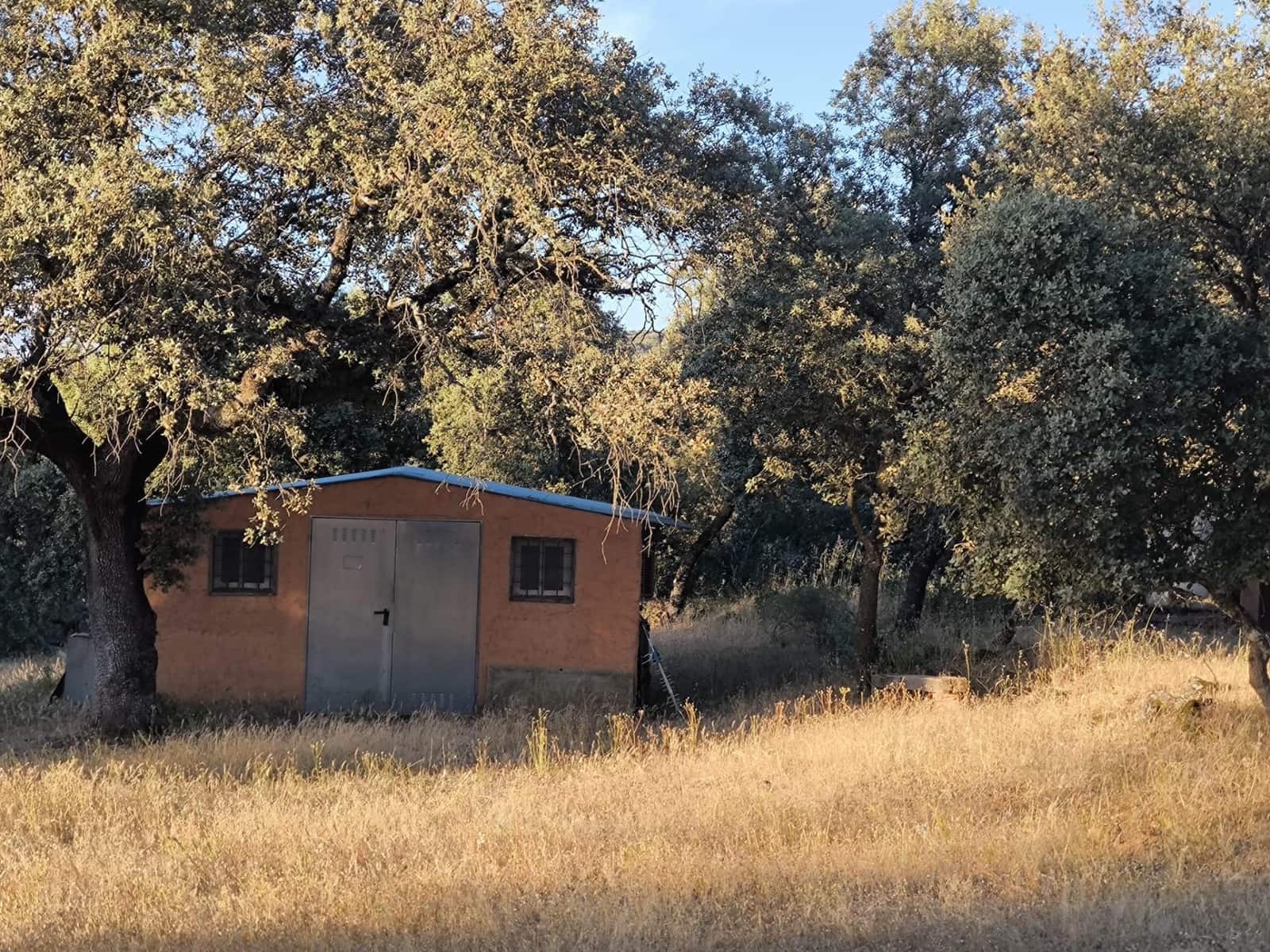 Undeveloped Land for sale in Fuente Obejuna - € 360,000 (Ref: 9898874)