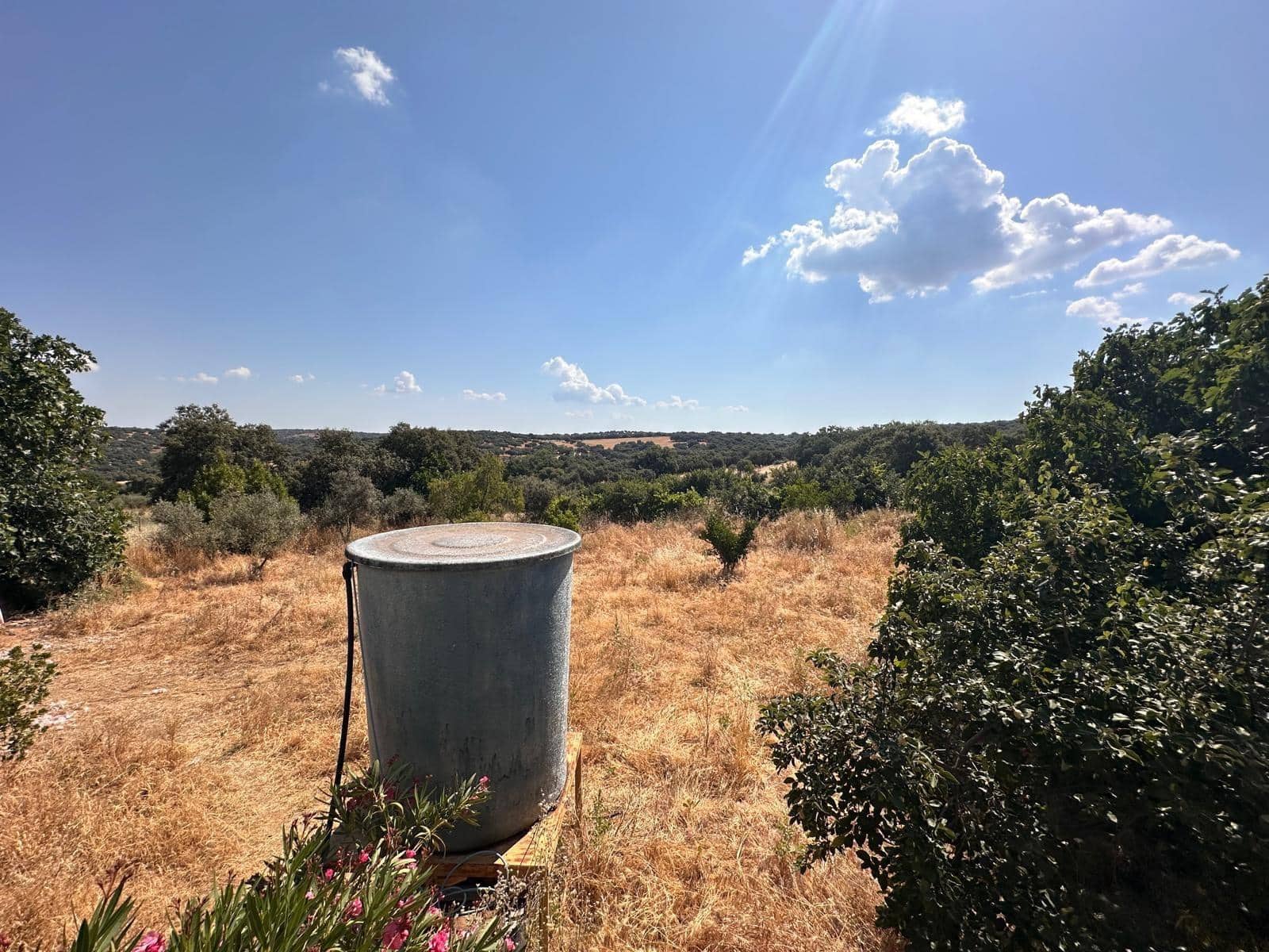 3 quarto Quinta/Casa Rural para venda em Fuente Obejuna - 85 000 € (Ref: 9911151)