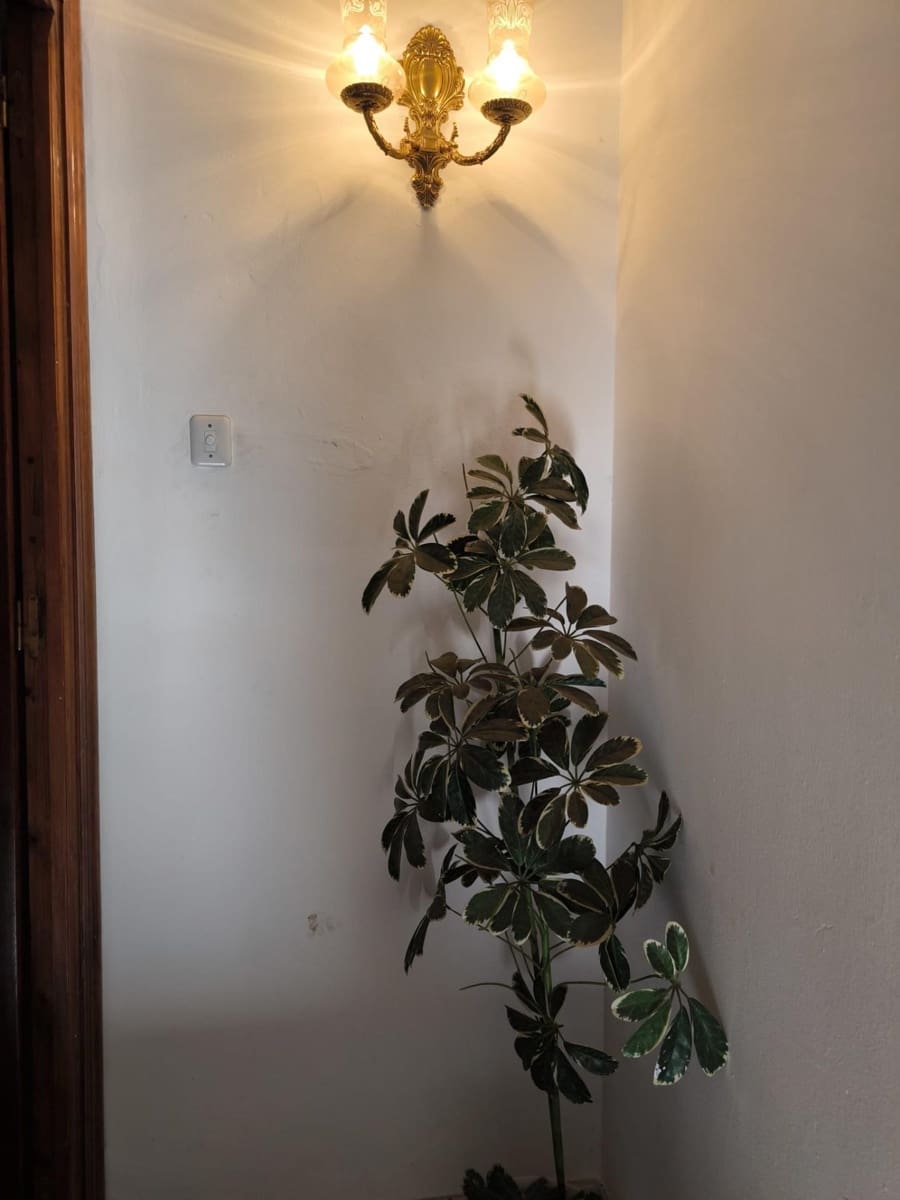 3 camera da letto Appartamento in vendita in Fuente Obejuna - 48.000 € (Rif: 9938284)