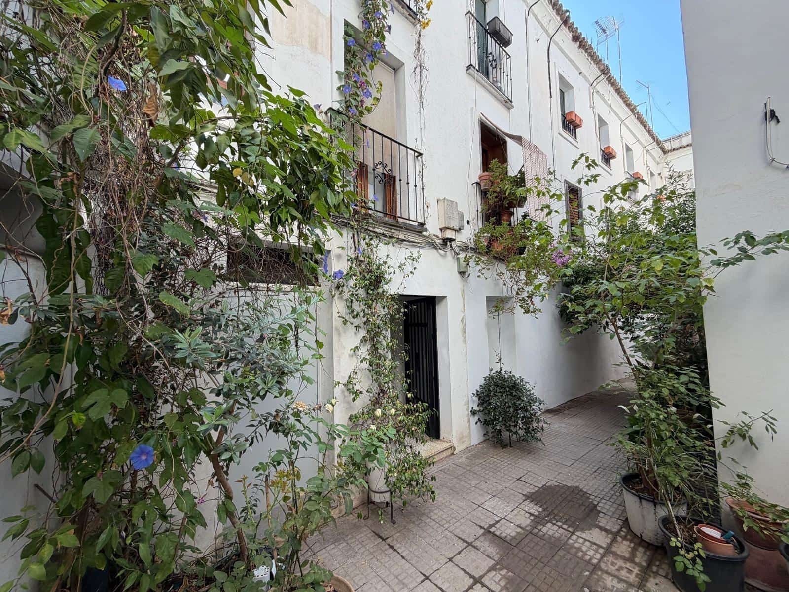 Piso de 2 habitaciones en Córdoba ciudad en venta - 185.000 € (Ref: 9943674)