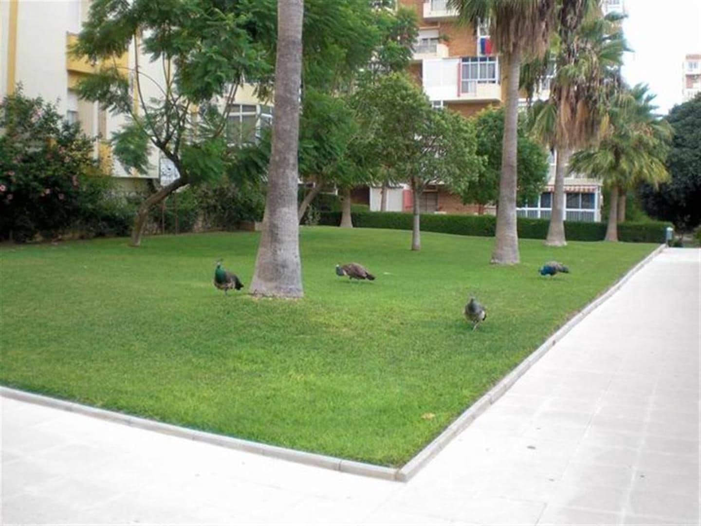 1 camera da letto Appartamento in vendita in Benalmadena con piscina - 235.000 € (Rif: 9571284)