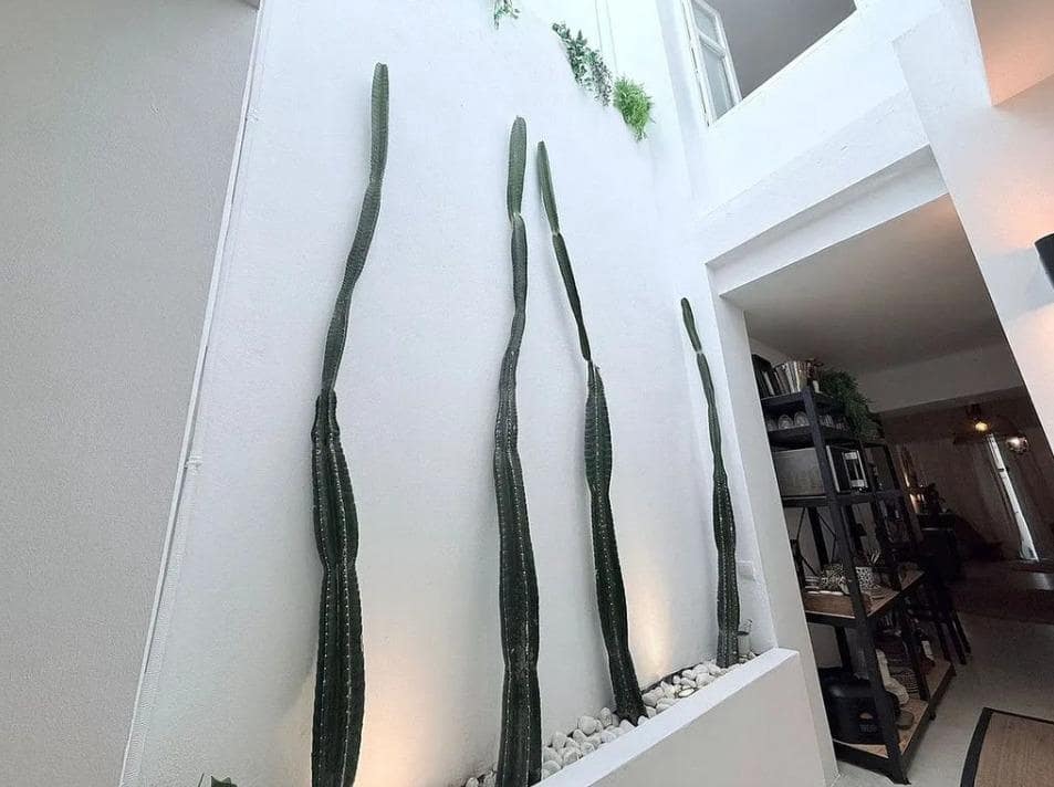 3 chambre Villa/Maison Mitoyenne à vendre à Coin - 329 000 € (Ref: 9630119)