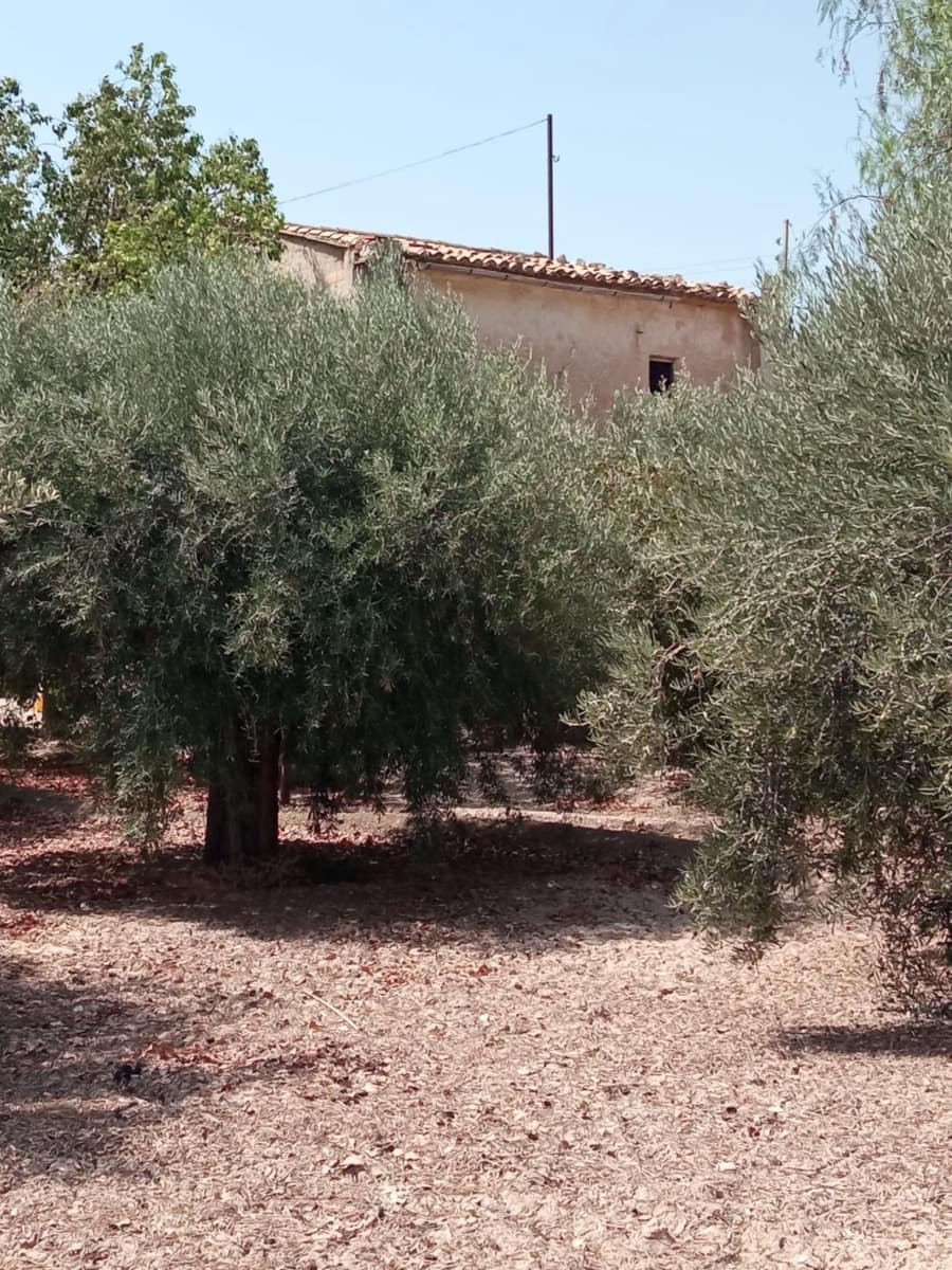 4 chambre Villa/Maison à vendre à Muchamiel / Mutxamel - 290 000 € (Ref: 10015638)
