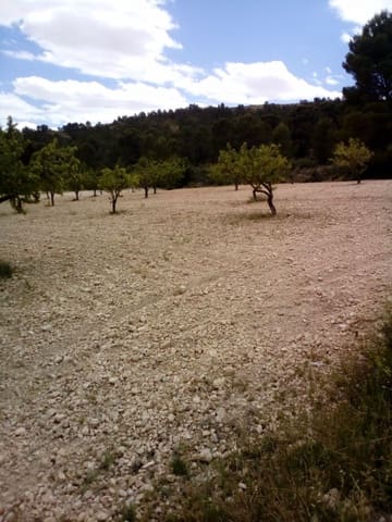 Mark till salu i Yecla - 15 600 € (Ref: 7512229)